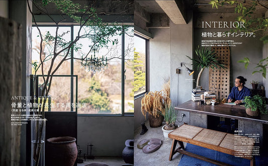 CASA BRUTUS | Indoor Green