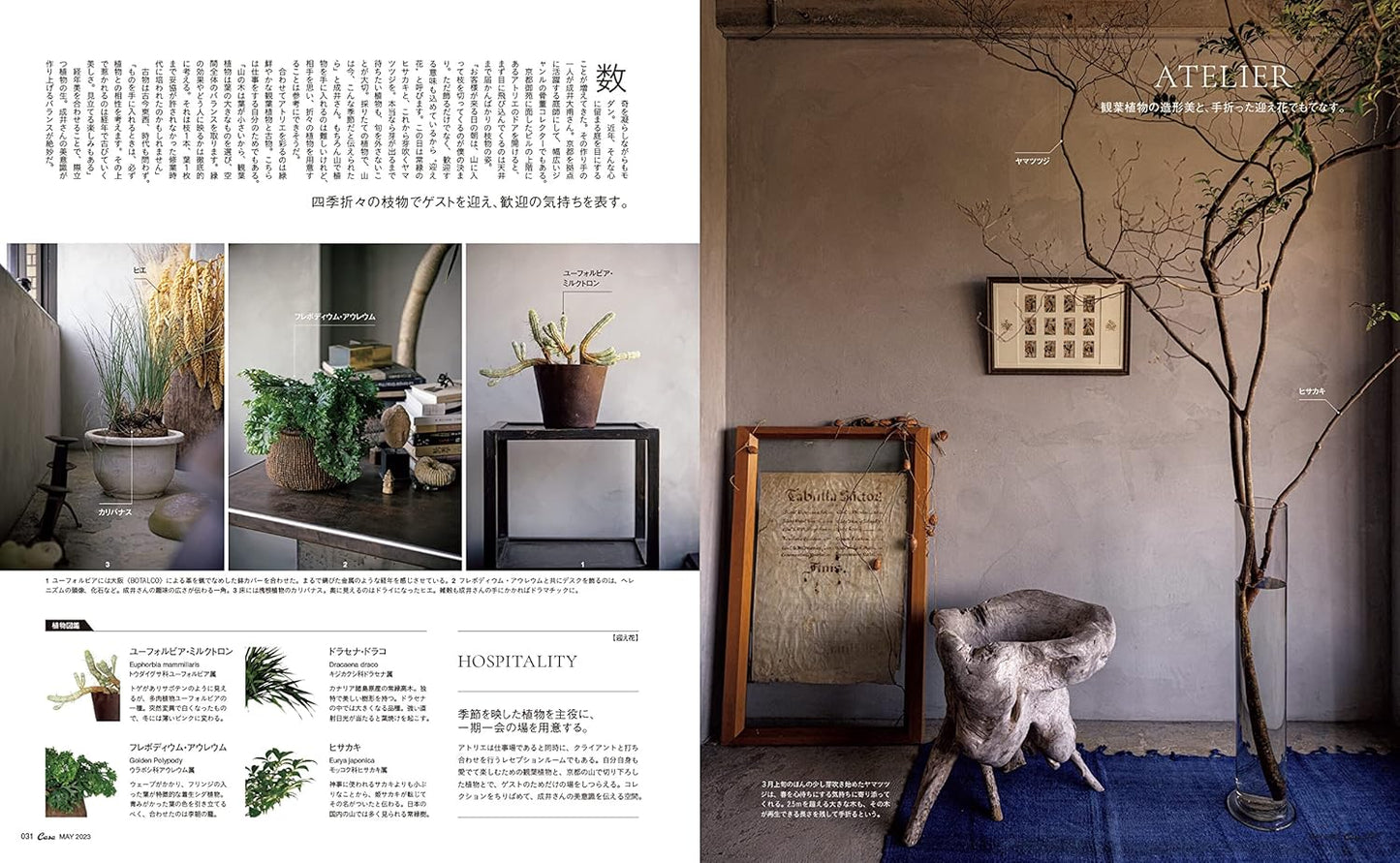 CASA BRUTUS | Indoor Green