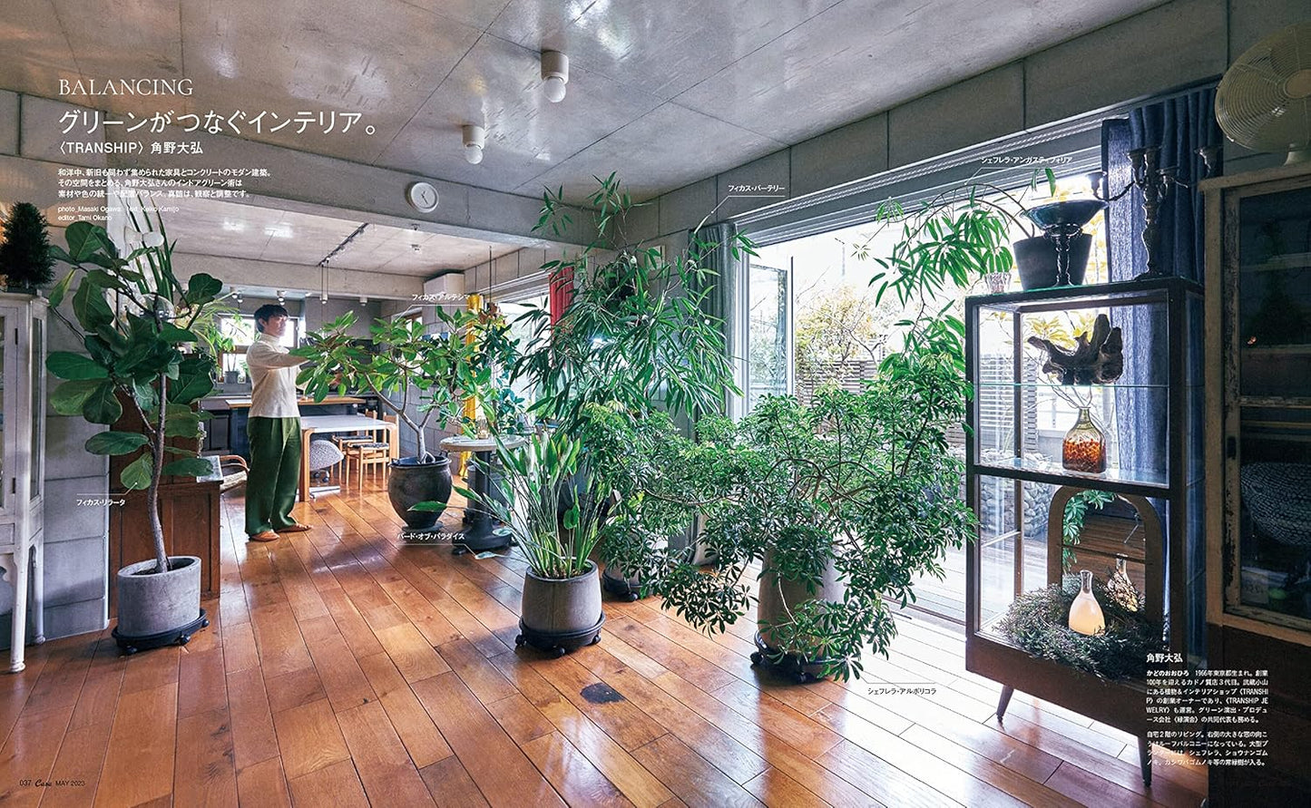 CASA BRUTUS | Indoor Green