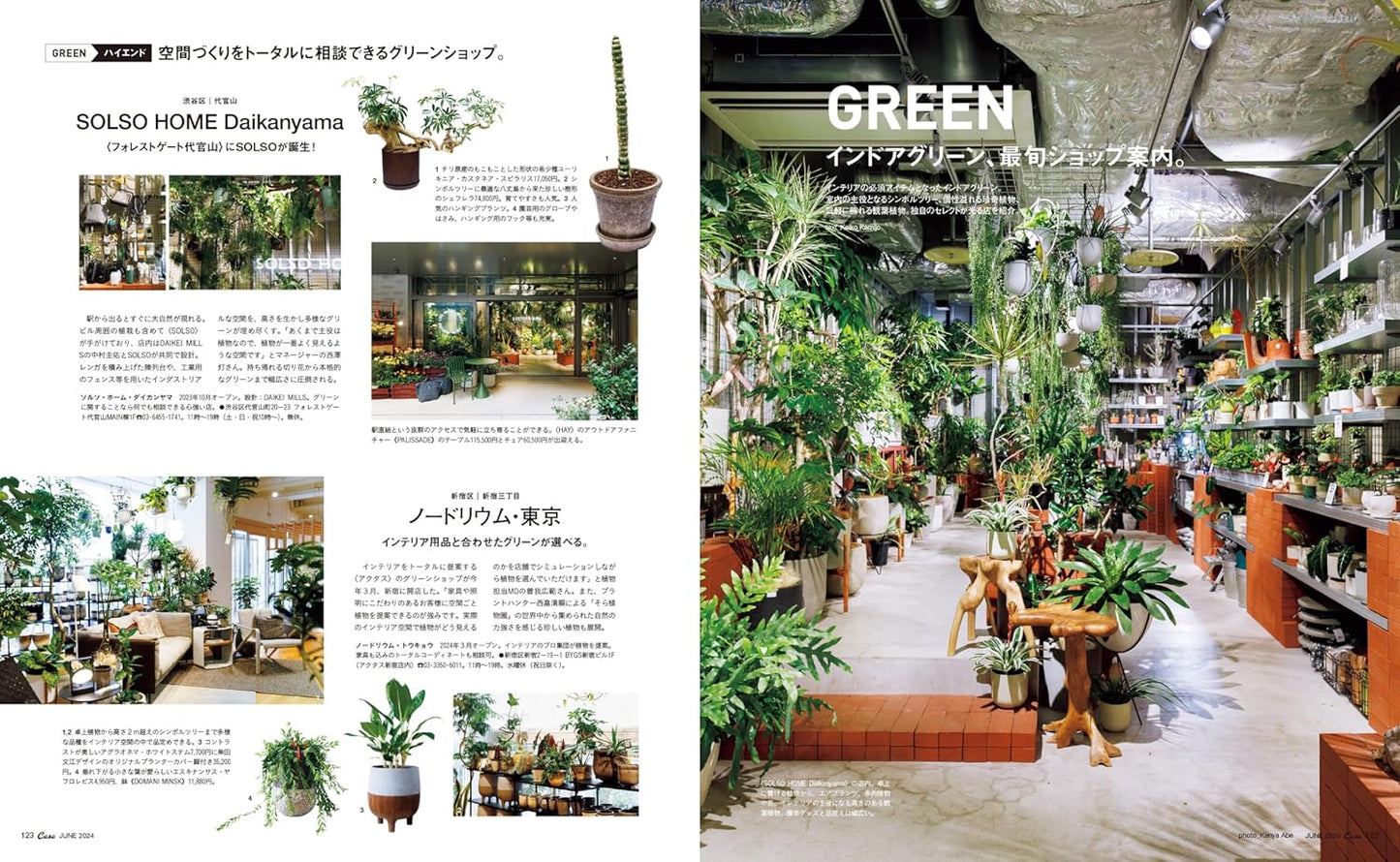 CASA BRUTUS | El Nuevo Tokio
